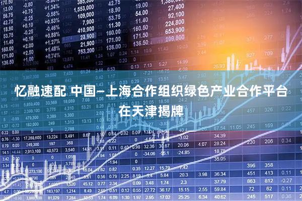 忆融速配 中国—上海合作组织绿色产业合作平台在天津揭牌