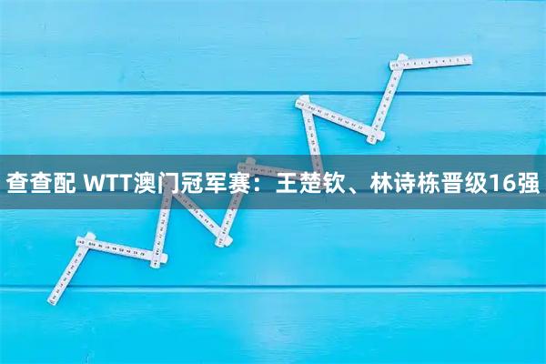 查查配 WTT澳门冠军赛：王楚钦、林诗栋晋级16强