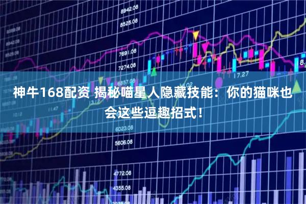神牛168配资 揭秘喵星人隐藏技能：你的猫咪也会这些逗趣招式！