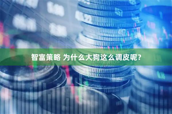 智富策略 为什么大狗这么调皮呢？