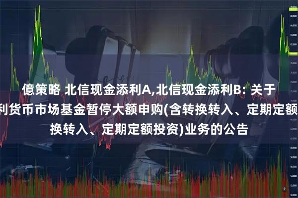 億策略 北信现金添利A,北信现金添利B: 关于北信瑞丰现金添利货币市场基金暂停大额申购(含转换转入、定期定额投资)业务的公告